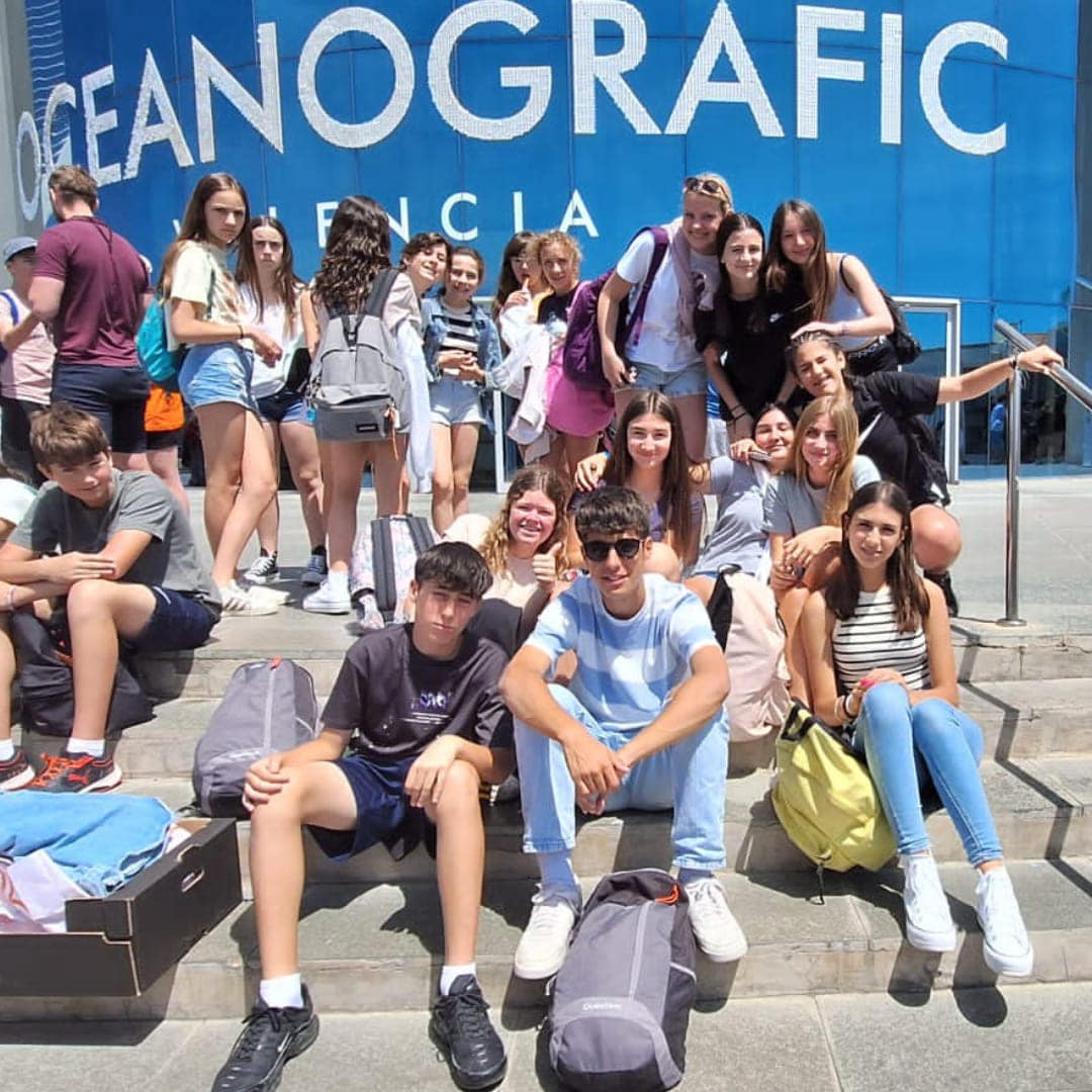 erasmus 6