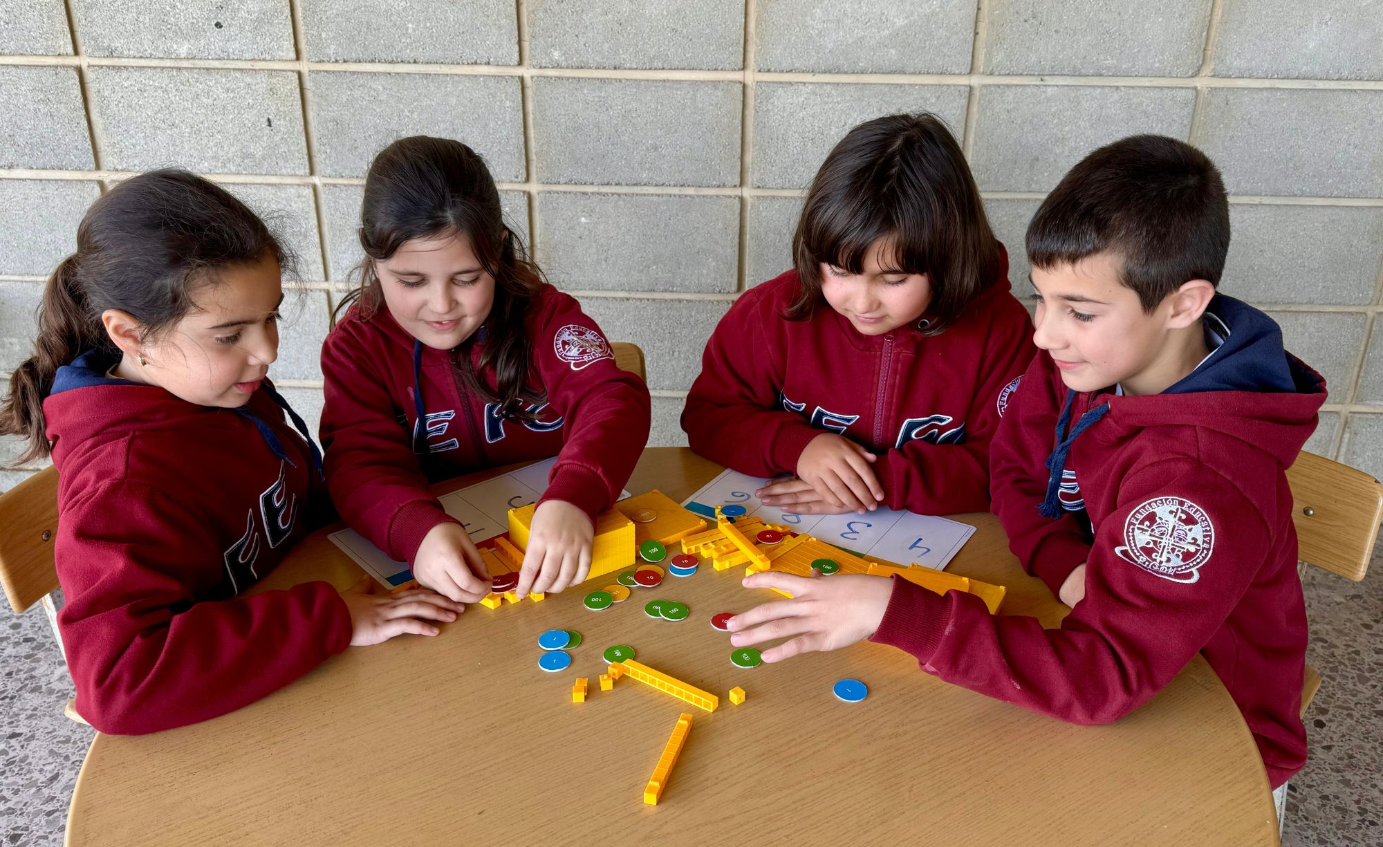 primaria